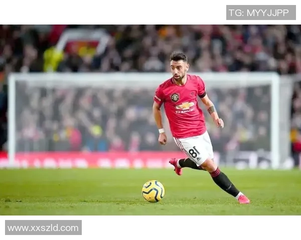 深圳篮球队的成长之路：从默默无闻到璀璨辉煌的奋斗历程